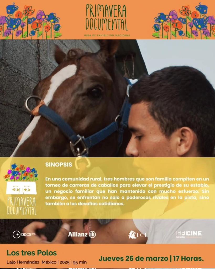 Cine Villa Olímpica Oficial tweet media