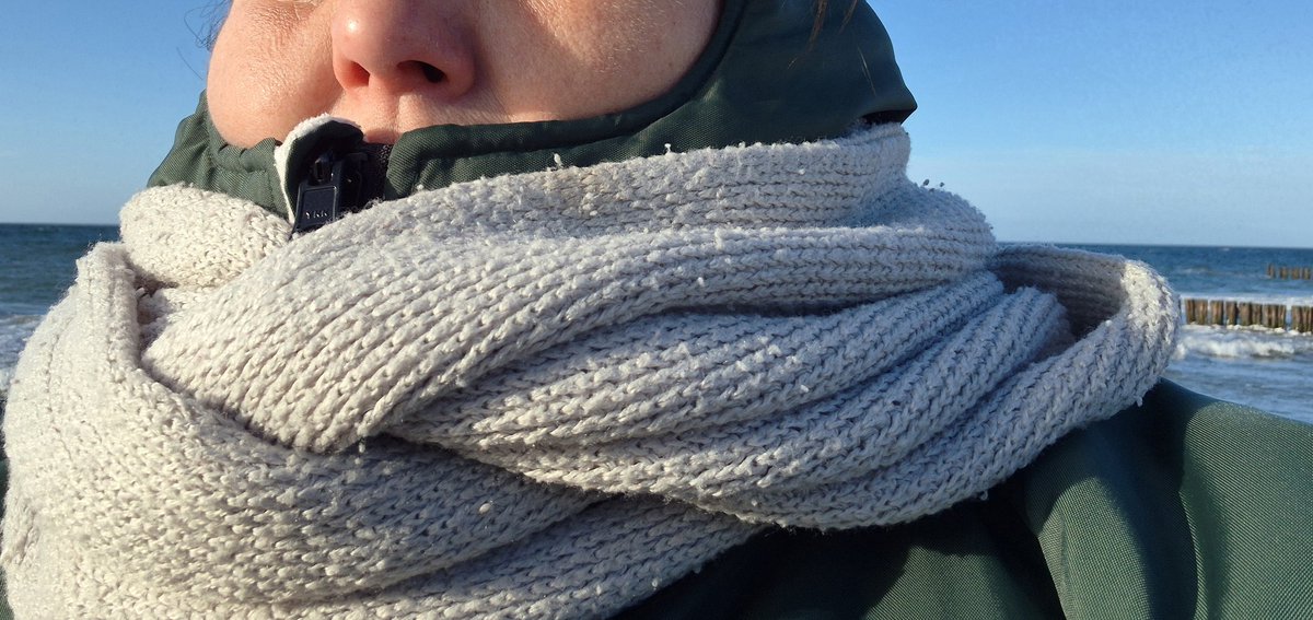 Zuckertinchen tweet media