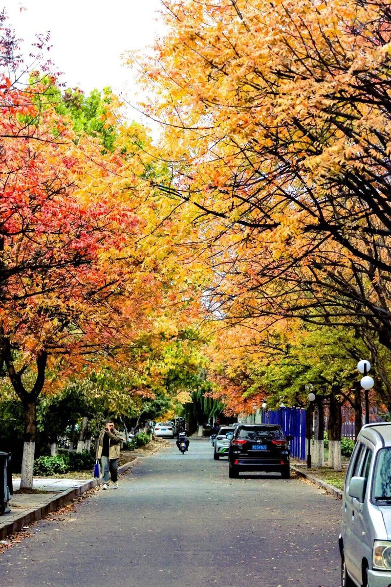 abutamza tweet media