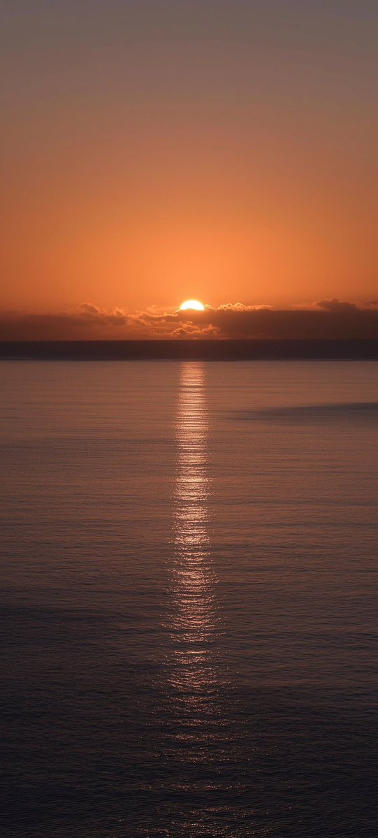 INFINITY W. 22 tweet media