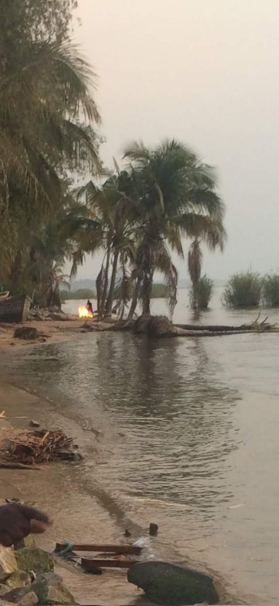 Wit James tweet media