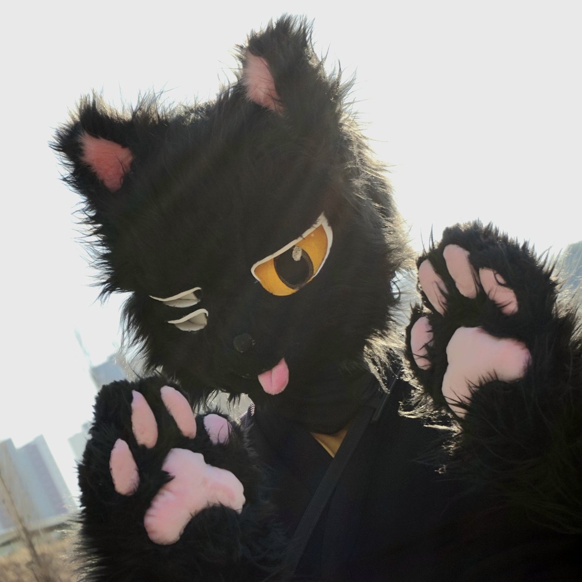 도산_Vei🔜4.18 인천대공원 봄맞이 퍼슈팅 tweet media