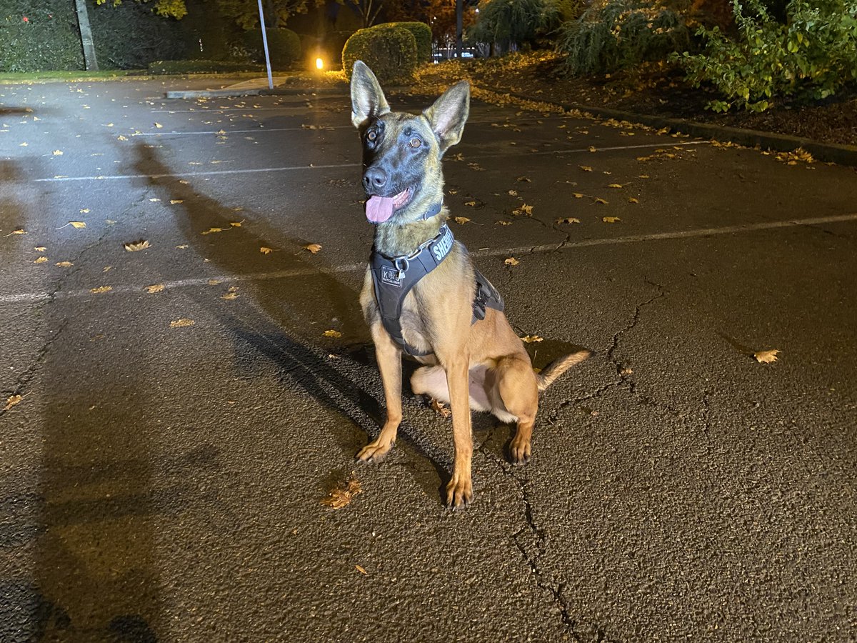 Clackamas Sheriff tweet media