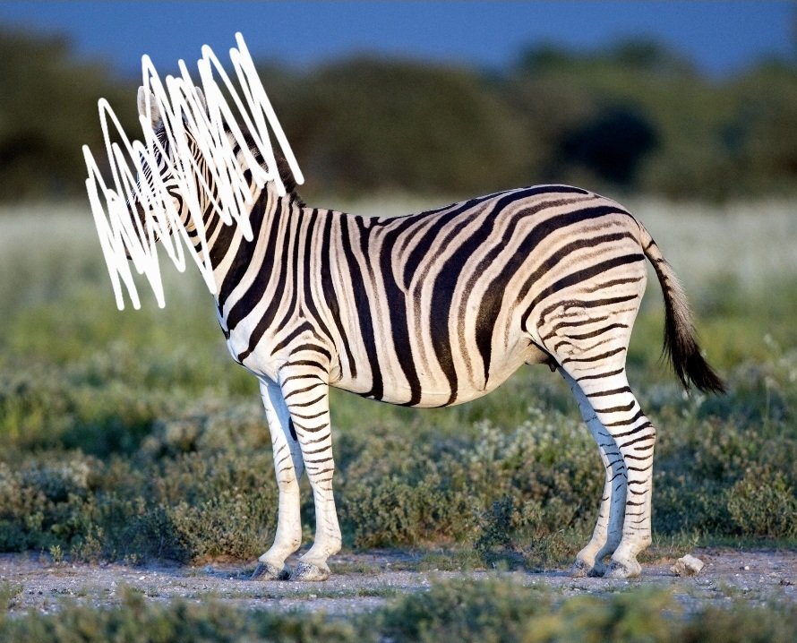 Ste on the sea ⚓️ tweet media