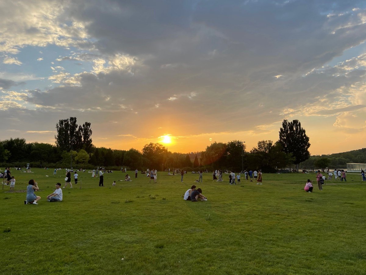 Pepe Vava tweet media