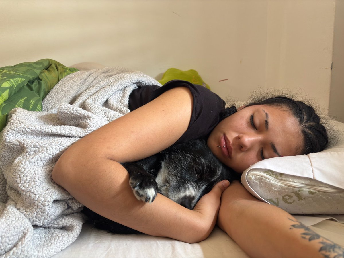 fanática de crepúsculo tweet media