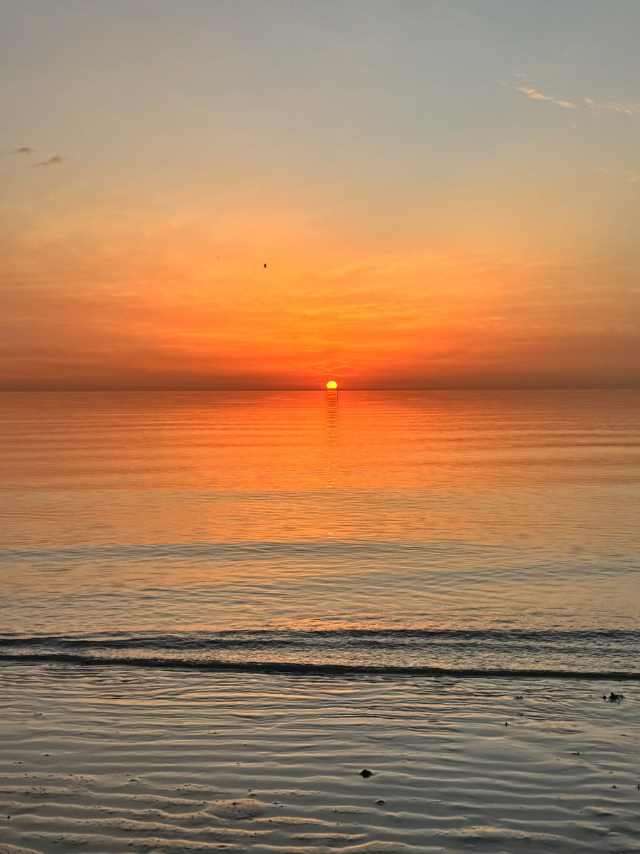 Manal Afaneh tweet media