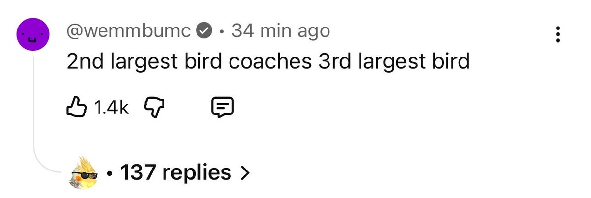 Wemmbu Updates tweet media