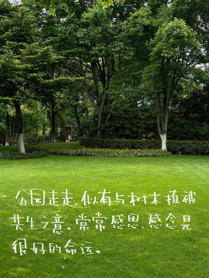 guardando username tweet media