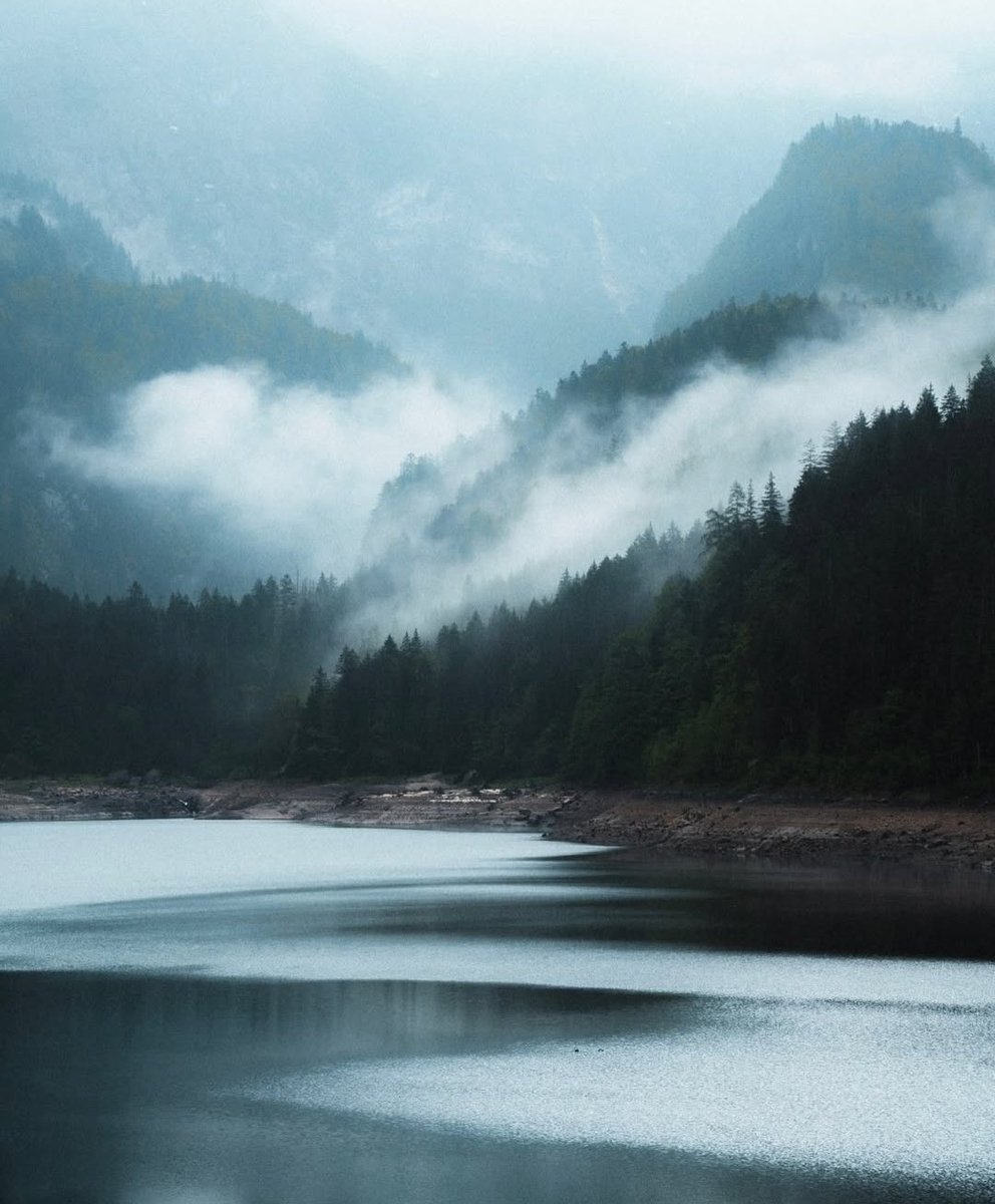 𝘄𝗮𝗻𝗱𝗲𝗿𝘁𝗿𝗮𝘃𝗲𝗹𝘀 tweet media