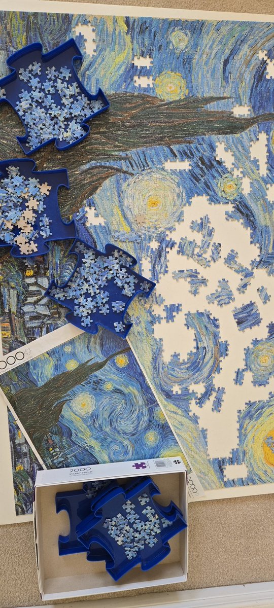 Sophia Ahmed tweet media