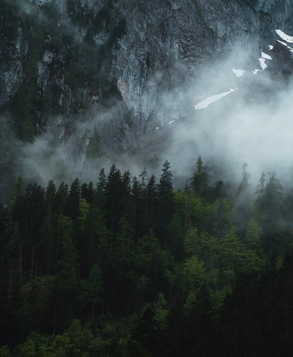 𝘄𝗮𝗻𝗱𝗲𝗿𝘁𝗿𝗮𝘃𝗲𝗹𝘀 tweet media