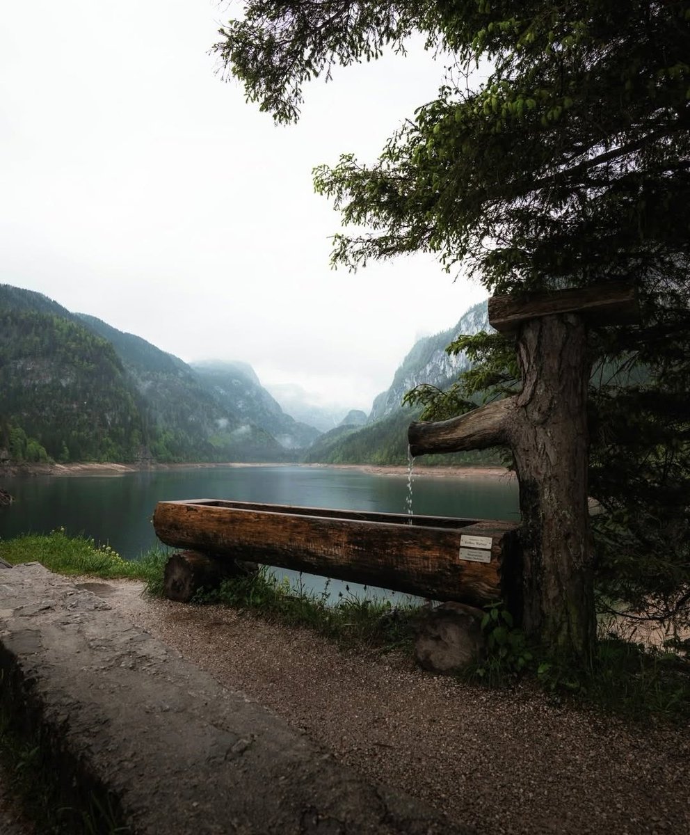 𝘄𝗮𝗻𝗱𝗲𝗿𝘁𝗿𝗮𝘃𝗲𝗹𝘀 tweet media