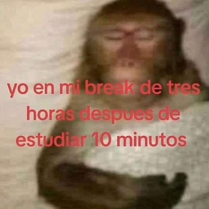 Ojos color sol (@ojoscol0rsol) on Twitter photo 