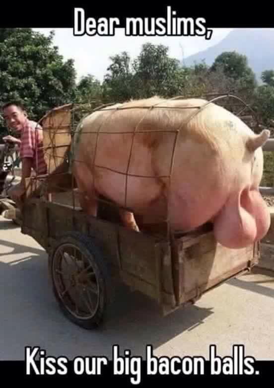 Resist We Much tweet media