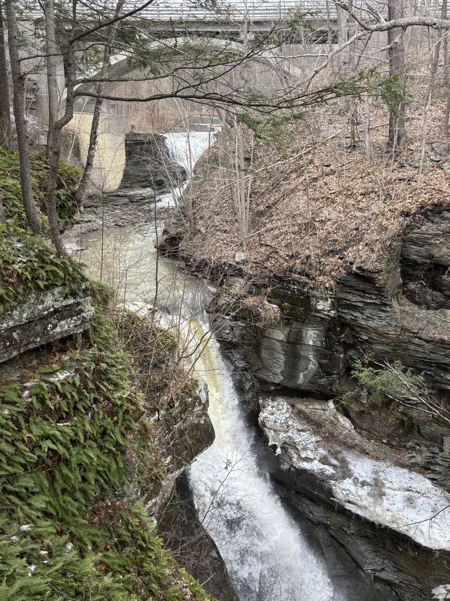 HABSTAR15's tweet photo. Minekill Falls. The raw energy of water… https://t.co/rvkfD502Vf