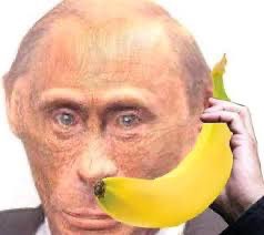 Кanan Stark Ancap 🥤 tweet media