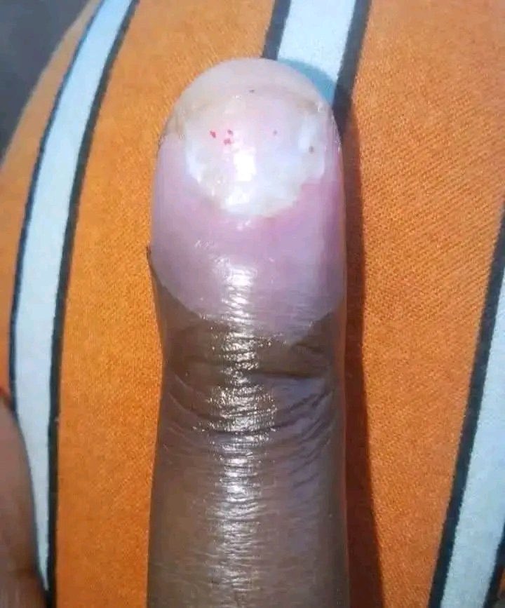 That Grateful Guy🦺💡⚡️ tweet media