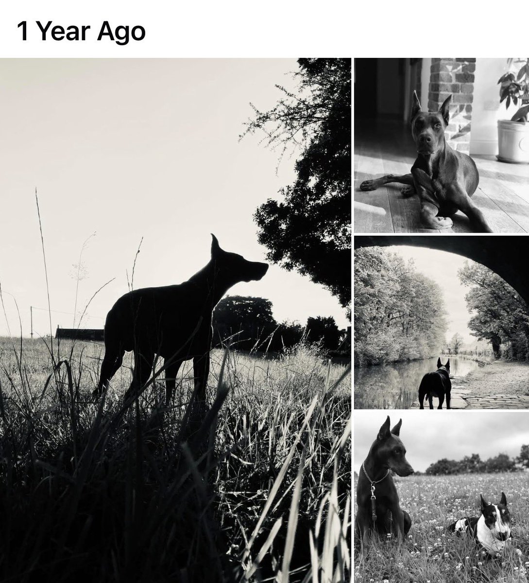 sheilaMol tweet media