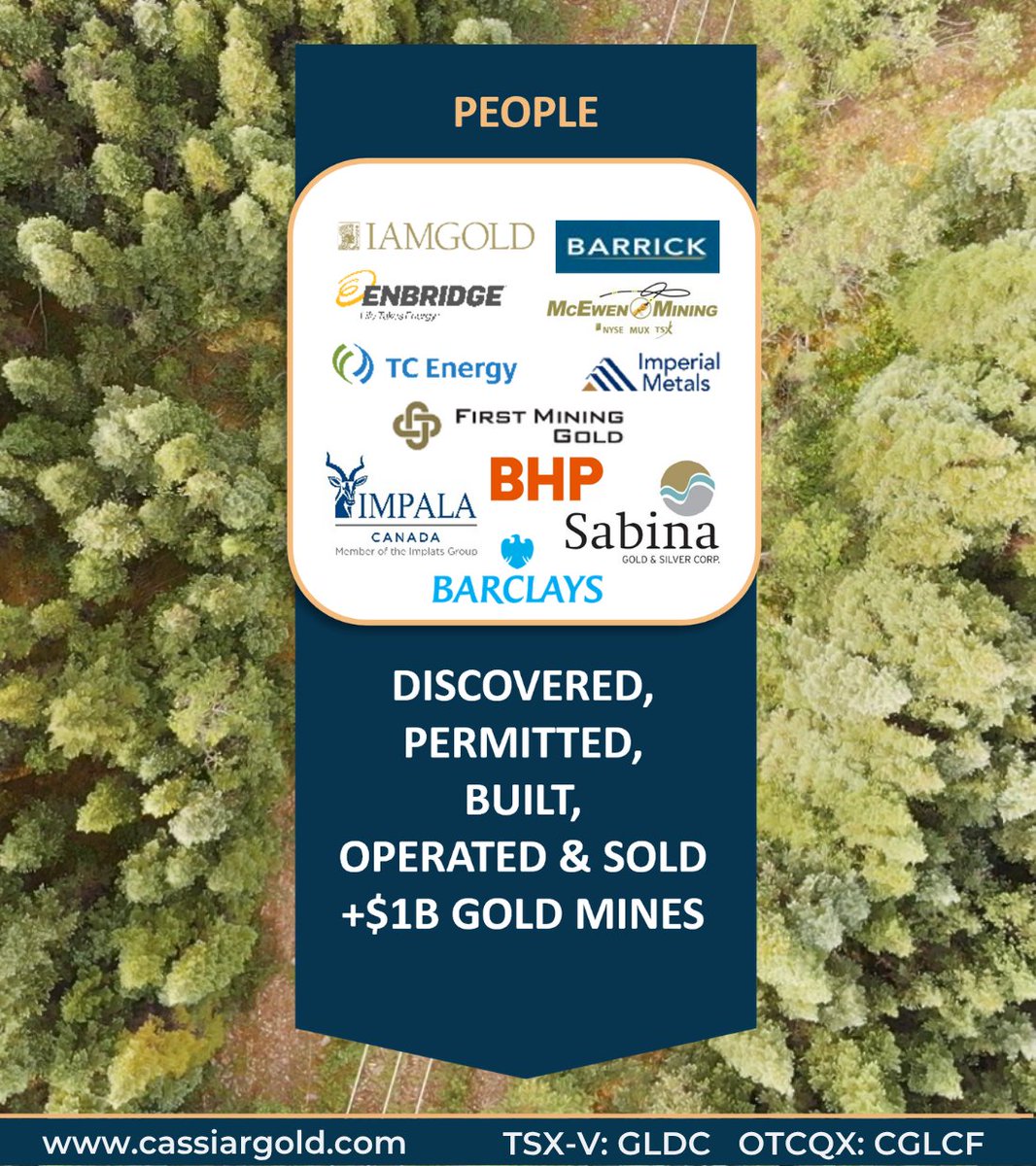 Cassiar Gold Corp. tweet media