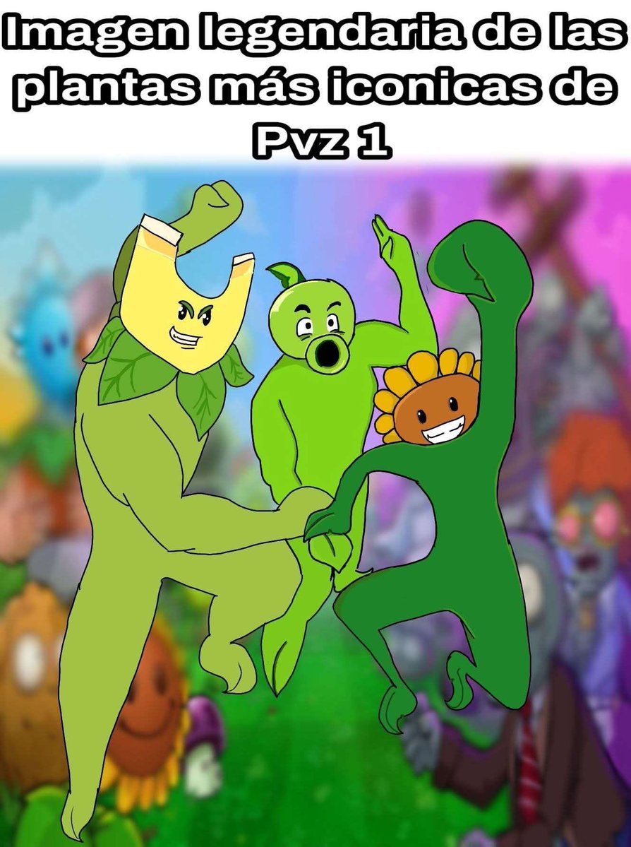 CChopper6 tweet media