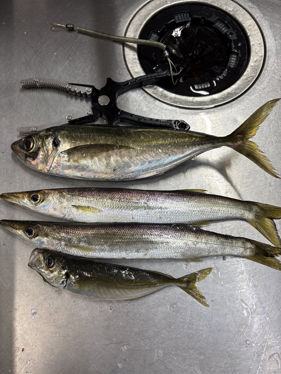 Ajinger Z tweet media