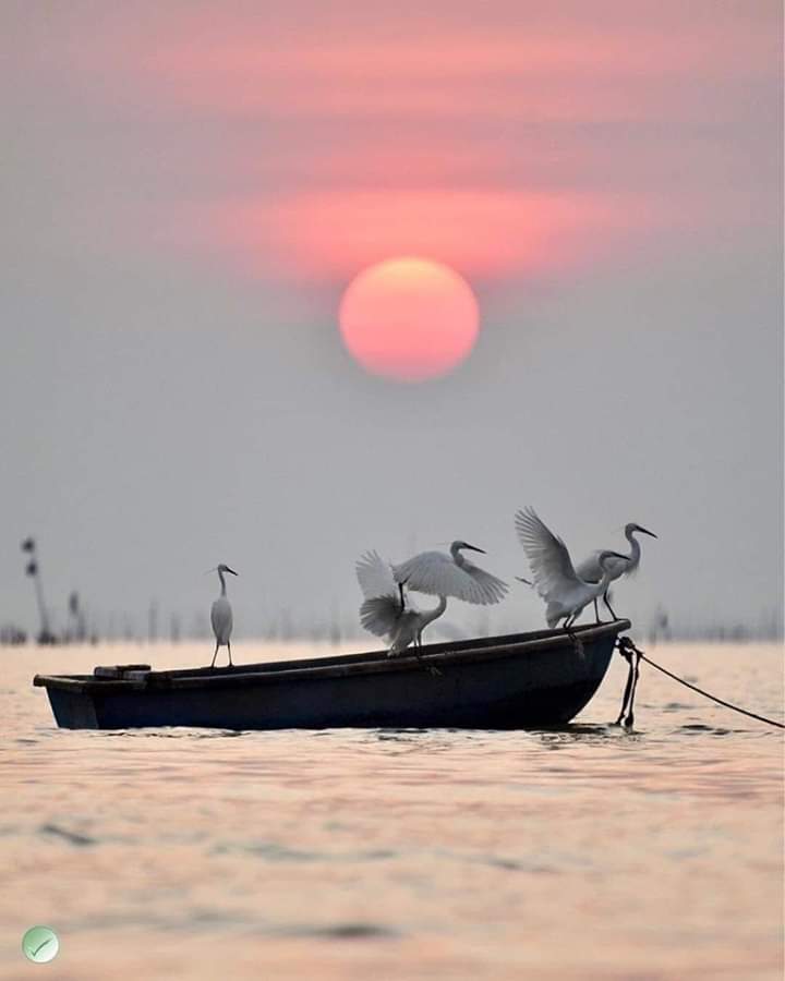 Sonia Álvaro tweet media