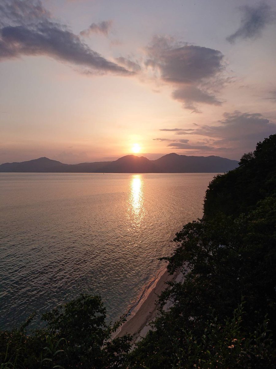 うっちゃん@イメージカラー💗桃色 tweet media