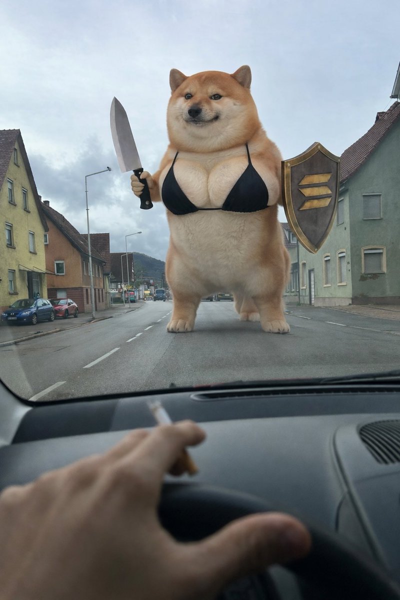 qNX🗡️🛡️ tweet media