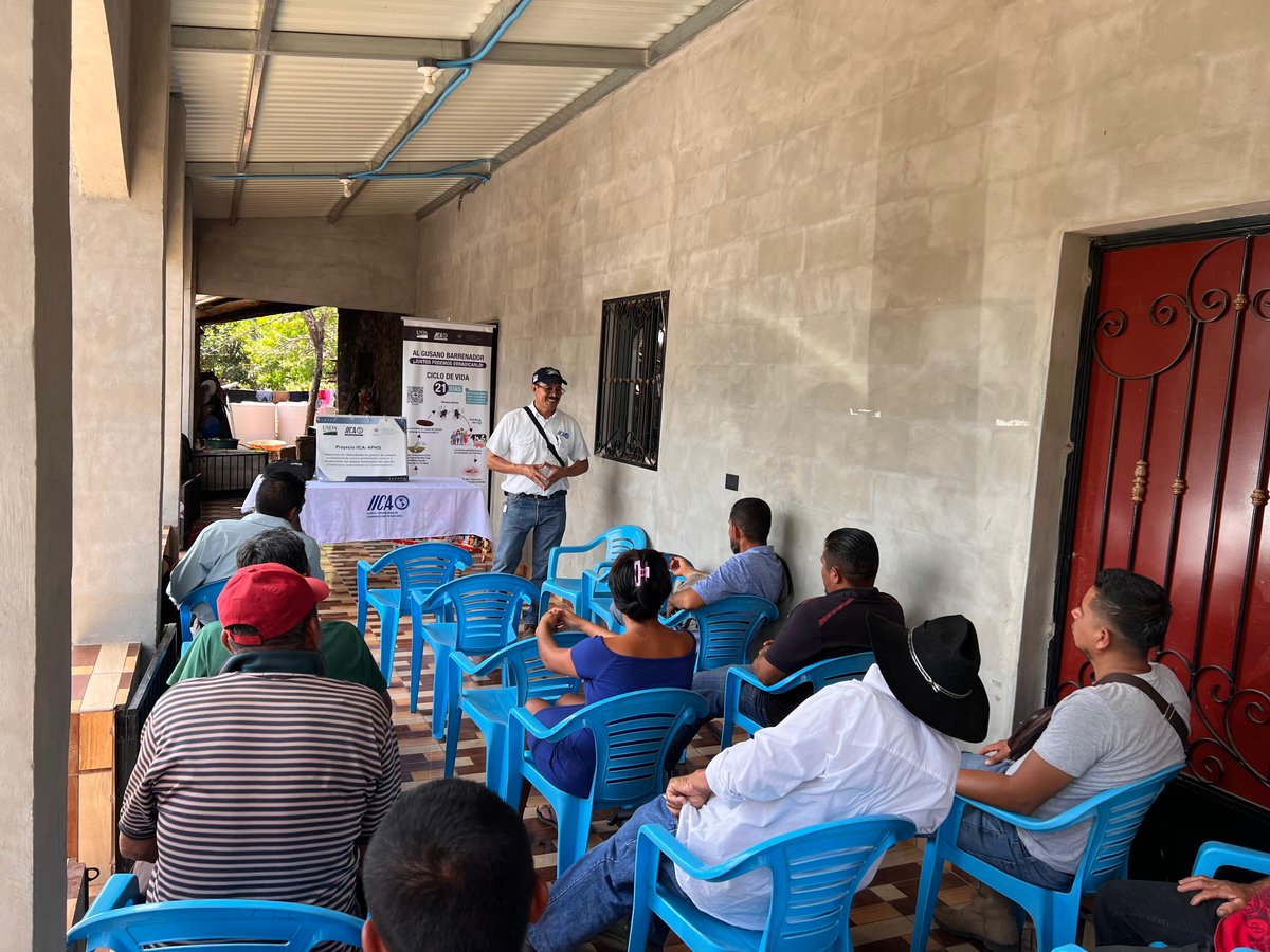 IICA - El Salvador tweet media