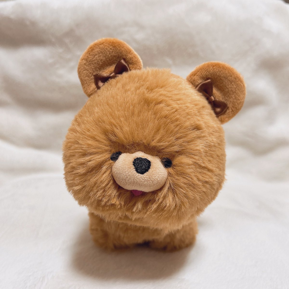 HARU COMIC CITY購入品✨

チャウチャウですが、くまに間違えられることしばしばなので……
あえてくまに寄せてみました！

かわいいカチューシャで一目惚れでした♡
心なしかとても嬉しそうです。
よく似合ってる☺️

<a href="/deco_nui/">でこ🐰4/19にじそ【西1し15】</a> 様