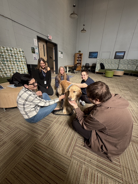 CT State Asnuntuck tweet media