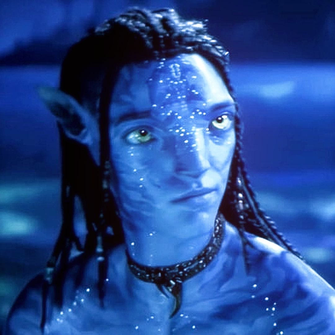 evie ⟡ tweet media