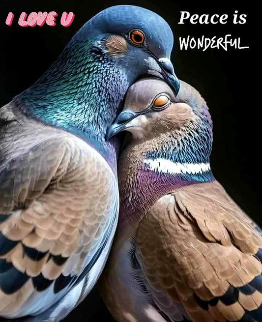 TAO CHAN 🪷 ZEN tweet media