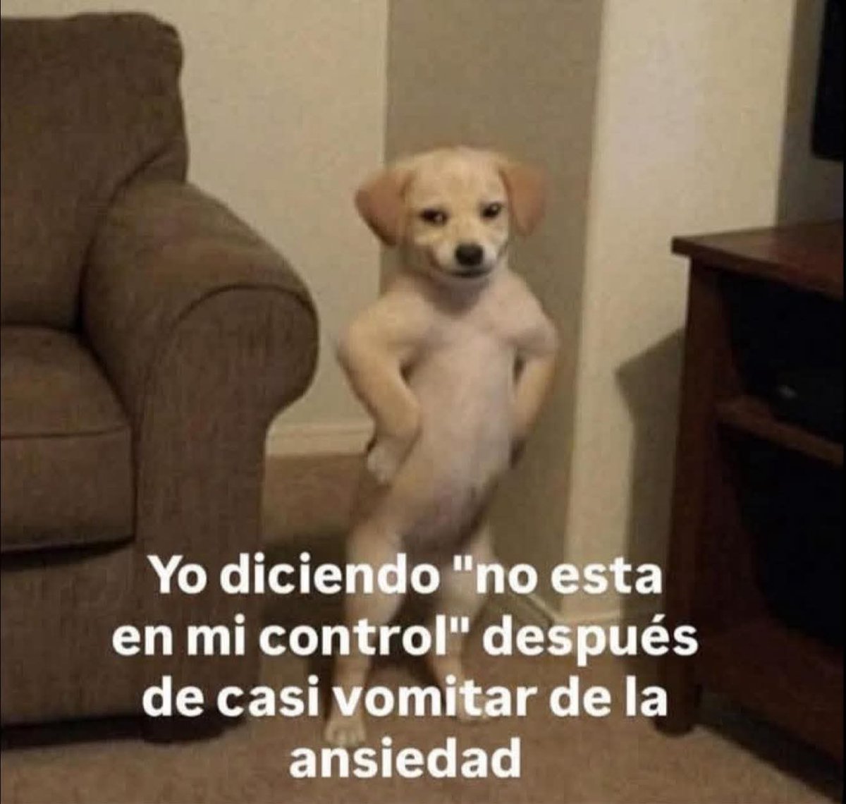 Ojos color sol tweet media