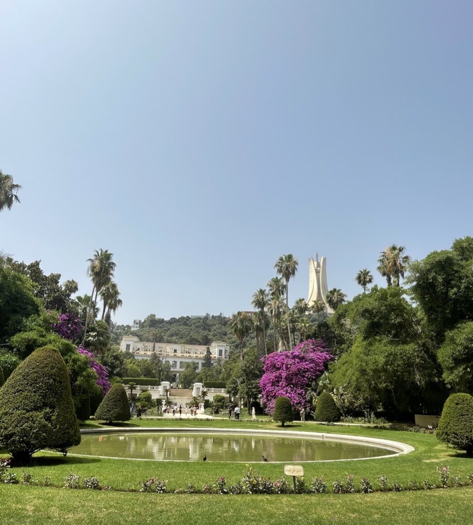 أيمن tweet media