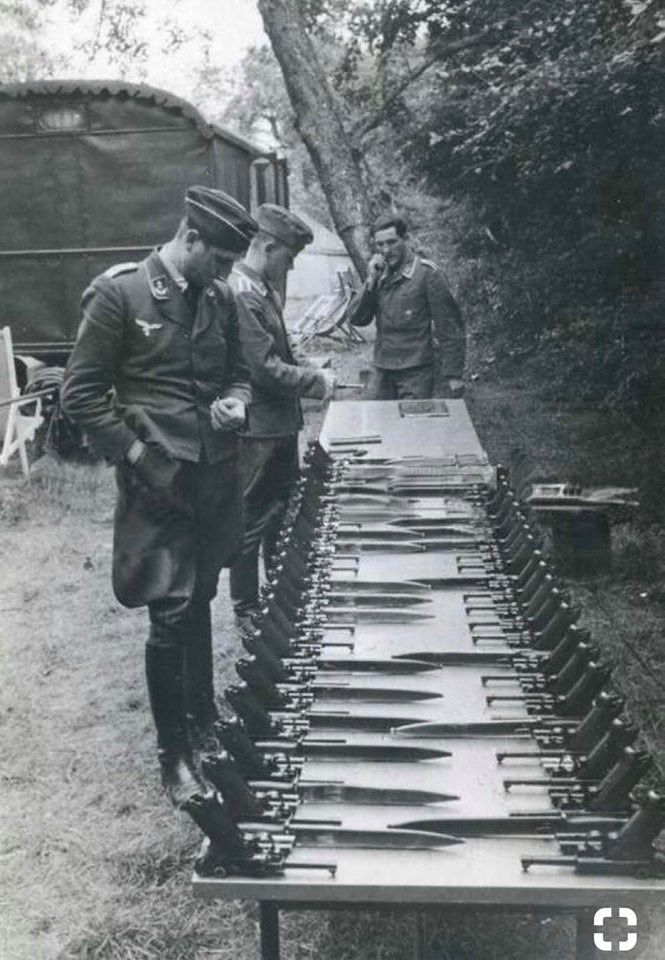 Alles aka Quinn 🤍 tweet media