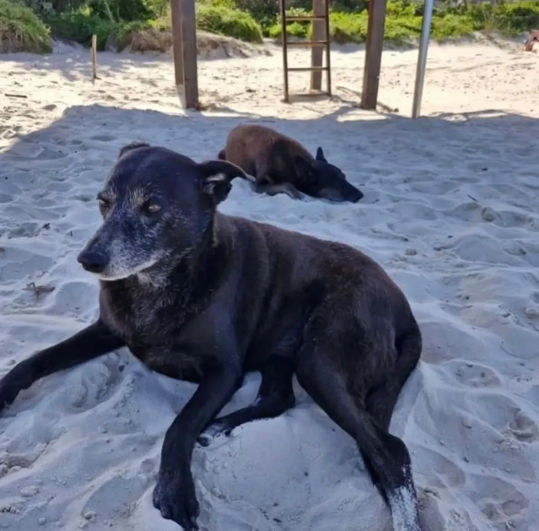 POETISA🇧🇷 ☽✪SÓ EU MESMA ☽✪☾ NOT DM🦇 tweet media