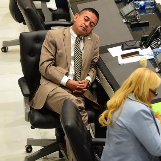 Aloguanaco El Pastor De Las Focas tweet media