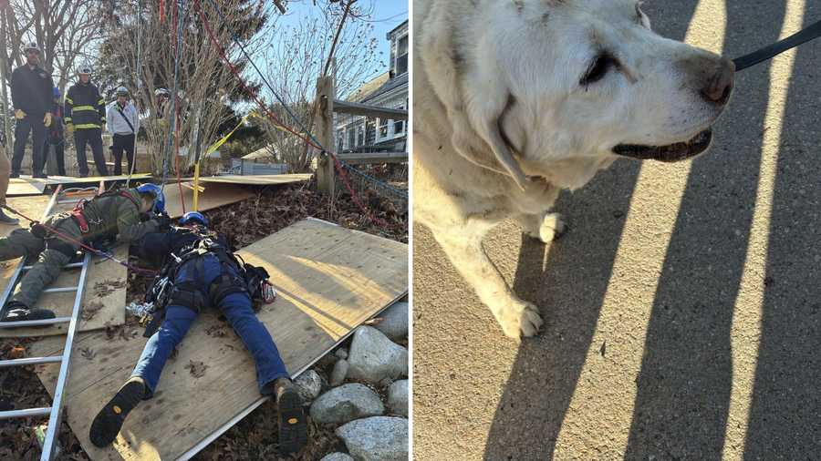 ZTF Guide tweet media