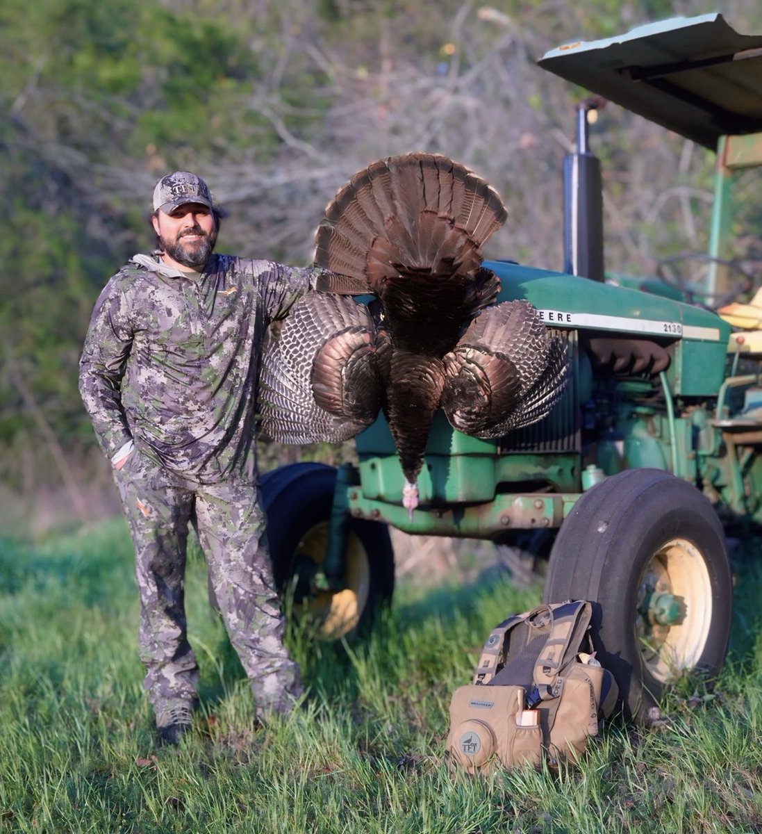 Turkeys for Tomorrow tweet media