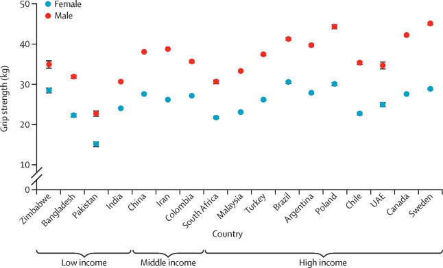 RAW EGG NATIONALIST tweet media