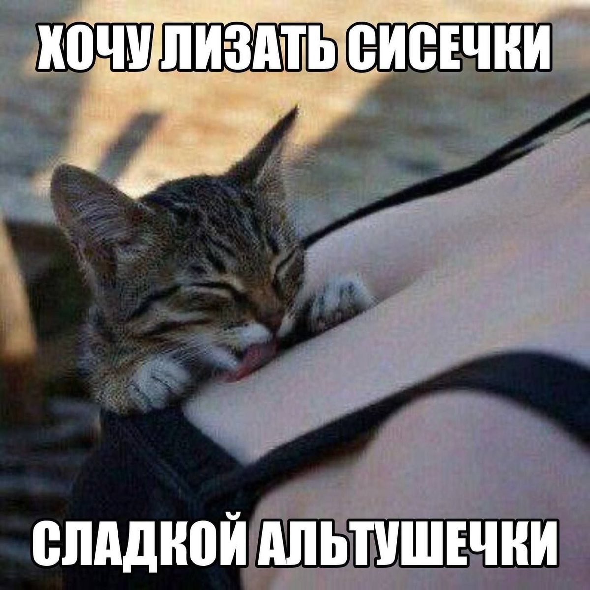 Lemon.Q 🍋 tweet media