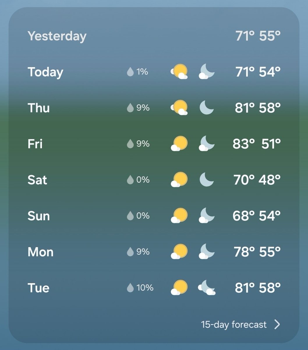 Jeremy Michael tweet media