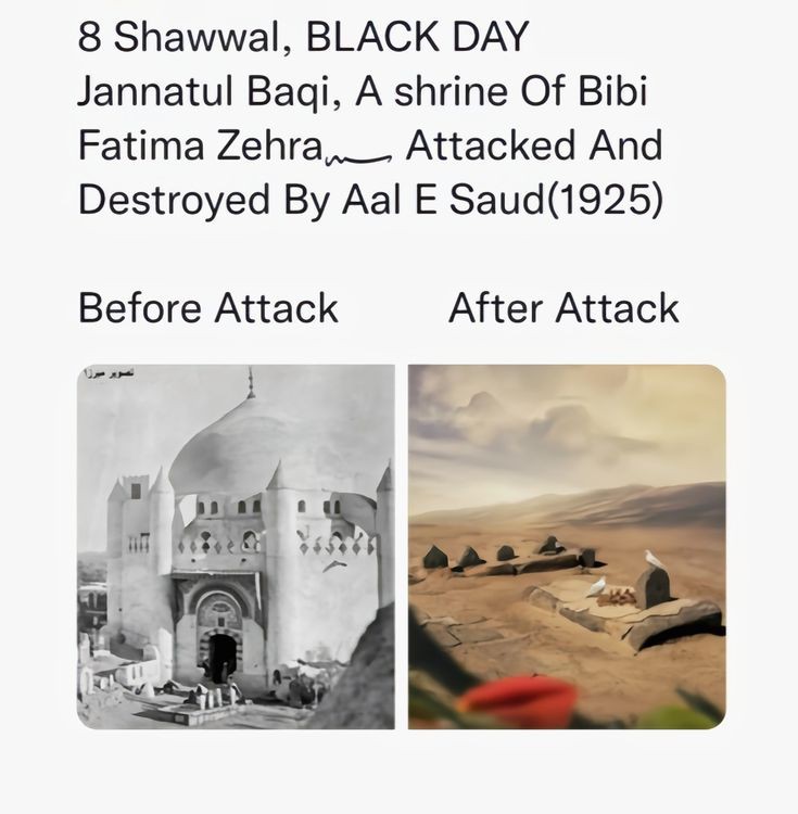 Fatema Haidery tweet media