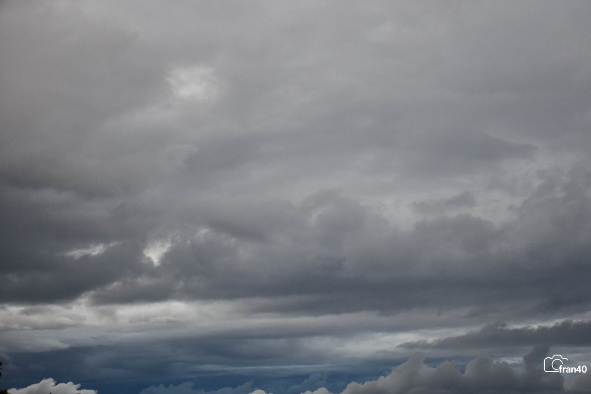 ☀⛅️️fran40 ☔️ tweet media