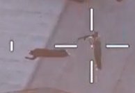 ! 𝙰𝚑𝚖𝚎𝚍 tweet media