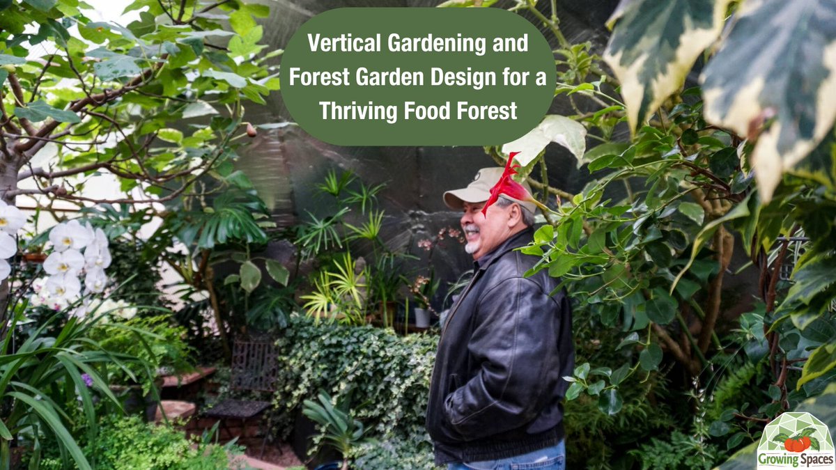 GrowingSpaces's tweet photo. Understand how vertical gardening and the idea of a forest garden transform a Growing Dome into a layered, year-round food forest. 🌱 

https://t.co/1ersbvUBZj

#verticalgardening #forestgarden #GrowingSpaces #GrowDome https://t.co/JgHkDwal2a