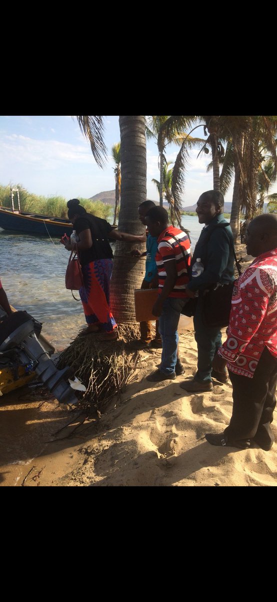 Wit James tweet media