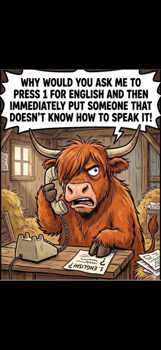 Primrose tweet media